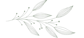 Leaf2